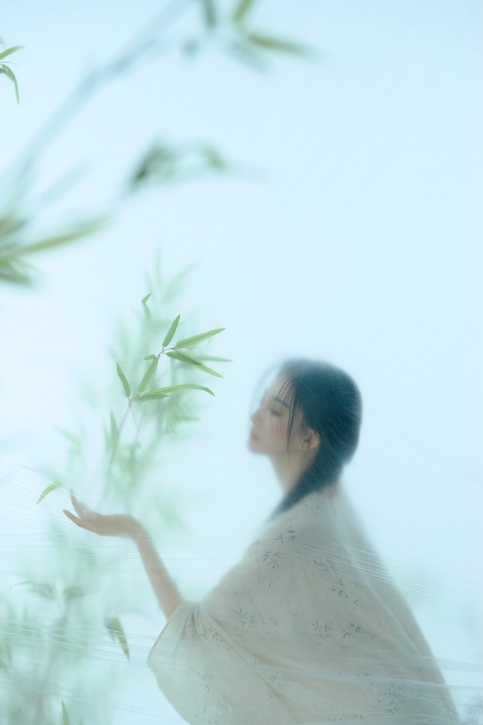 如懿传 封面